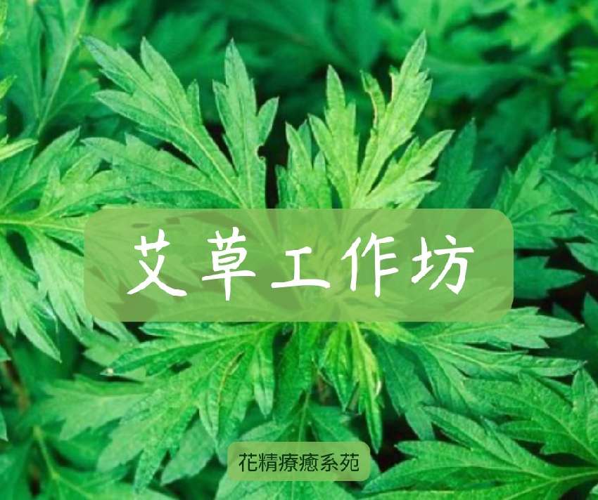 端午艾草手作工作坊
