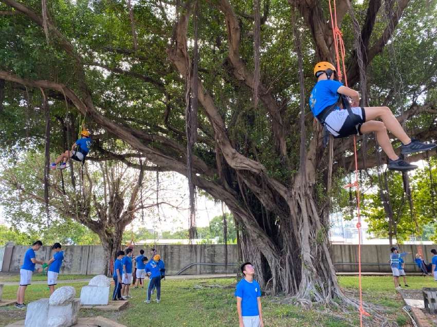宏立 攀樹體驗課程1