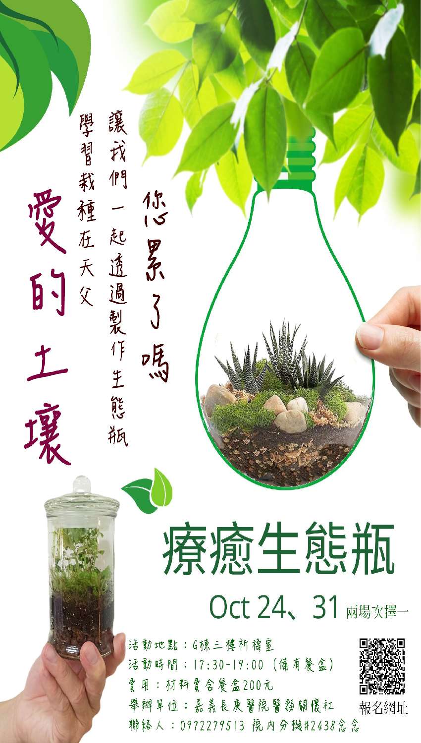 生態瓶製作