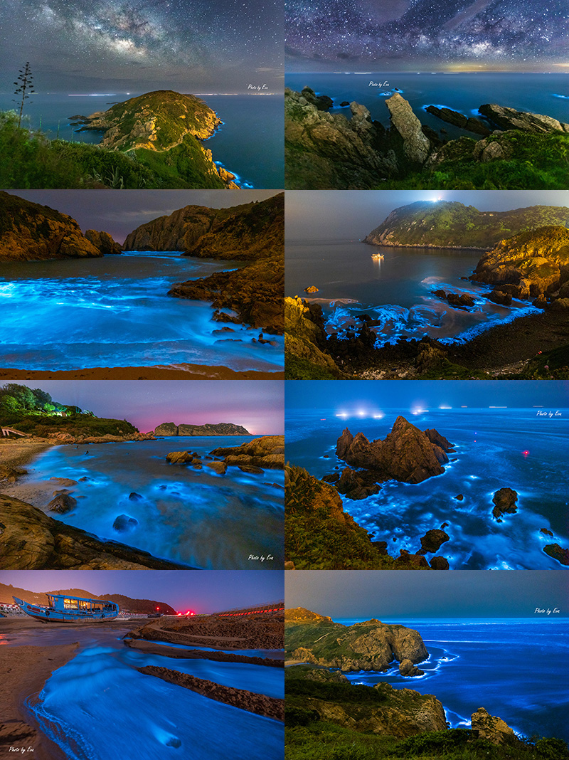 《攝遊網》2026馬