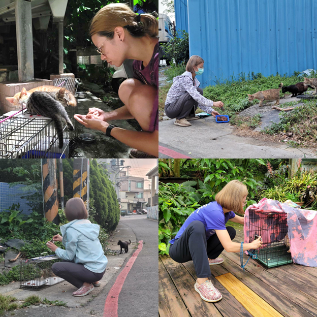 [情報] 新竹免費犬貓飼主講座(從犬貓需求談起)