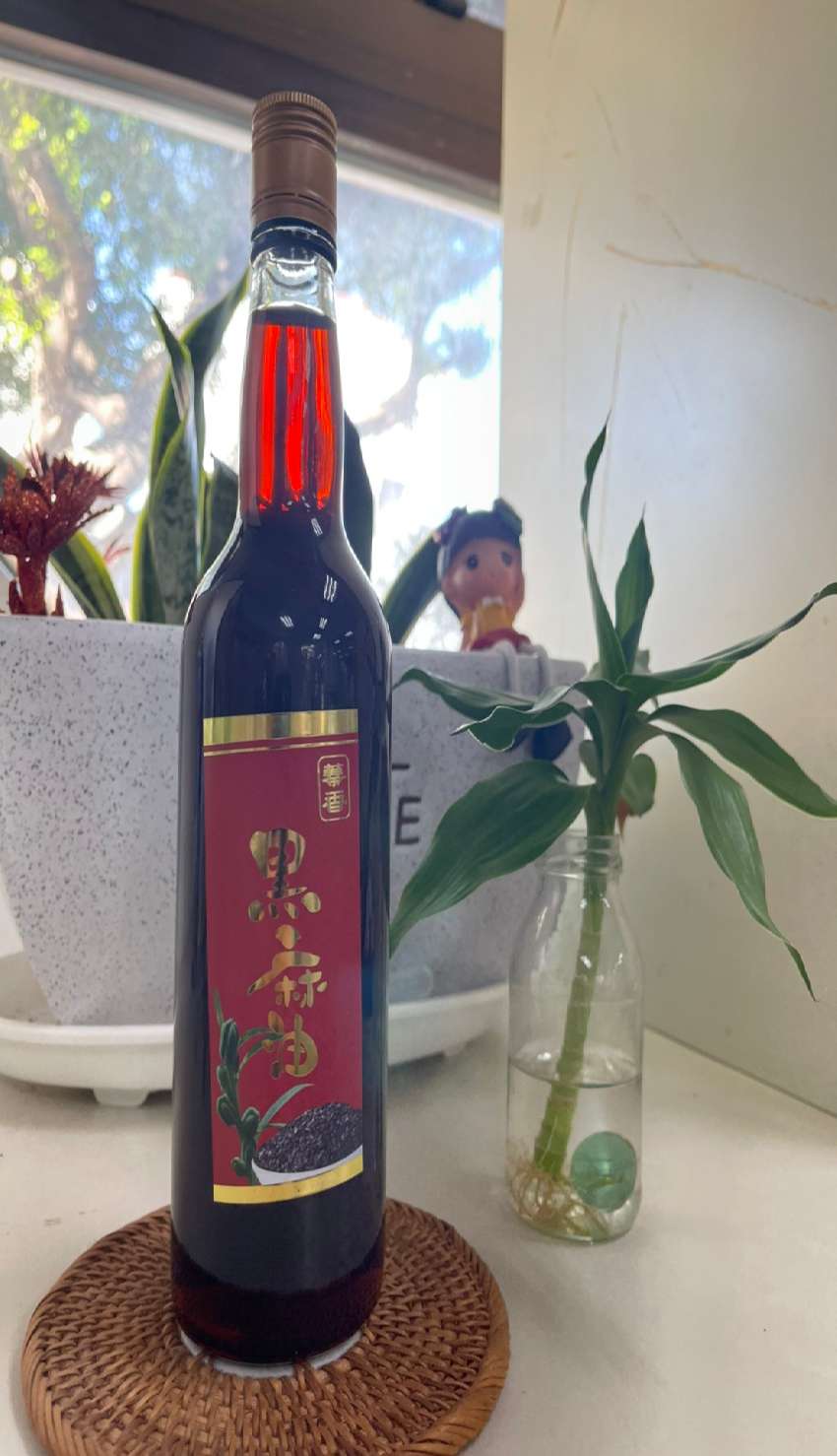 114年12月陳家芝