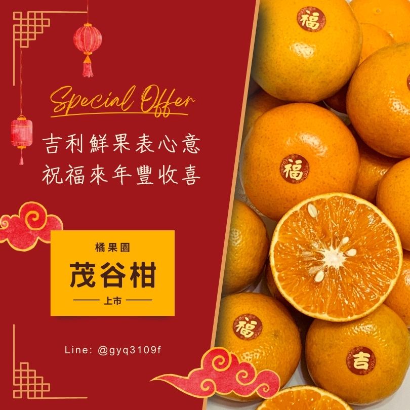 橘果園 茂谷柑~ 大