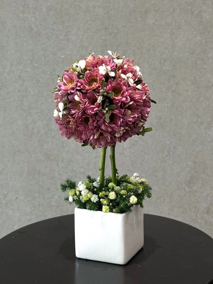 台南鎮北學堂課程【插