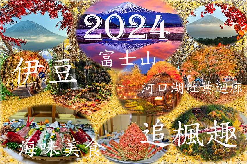 2024日本昭和銀杏