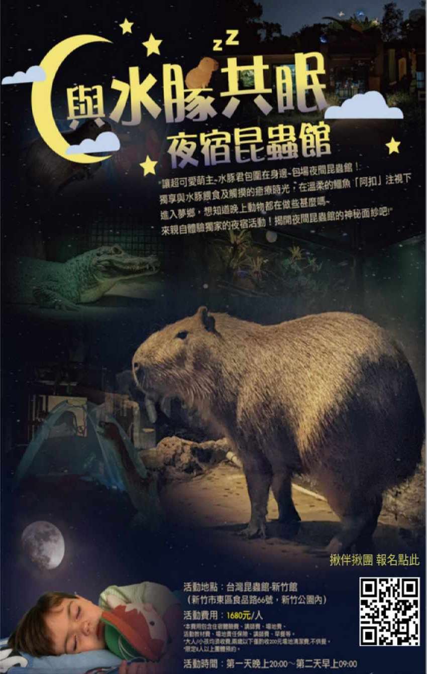 揪團與動物同眠 夜宿