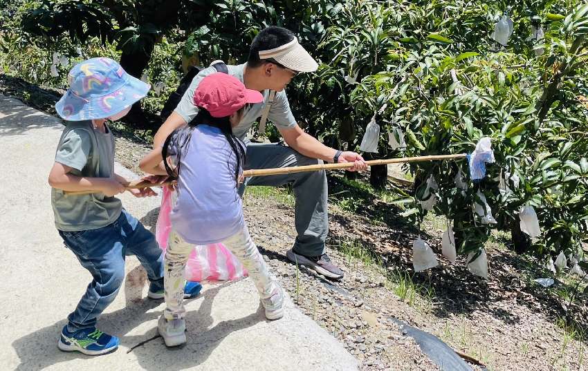 2026星光果園免費