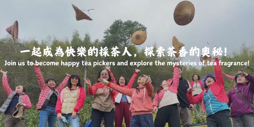 茶悅杉林食農教育體驗
