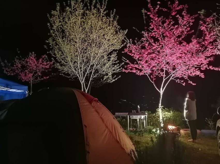 筑林居露營區2026