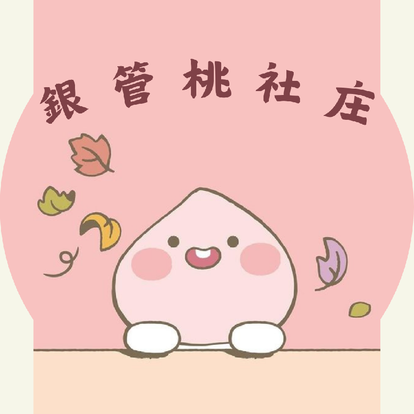 114年度桃園巿政府