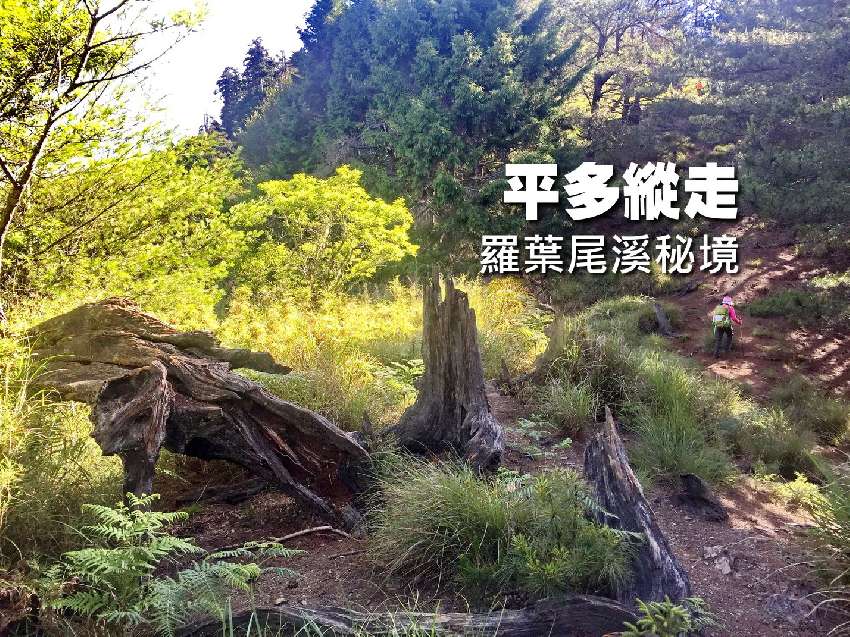 【台中市健康登山協會