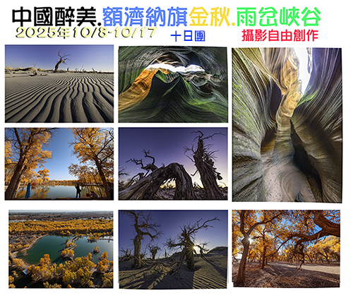 攝影自由行.額濟納旗