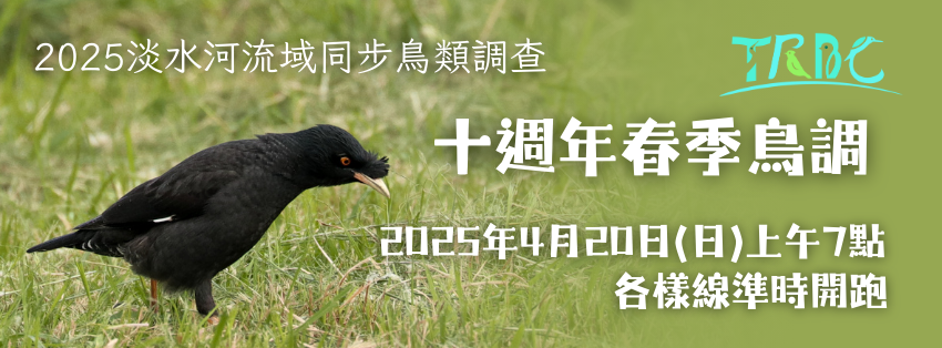 2025年淡水河同步