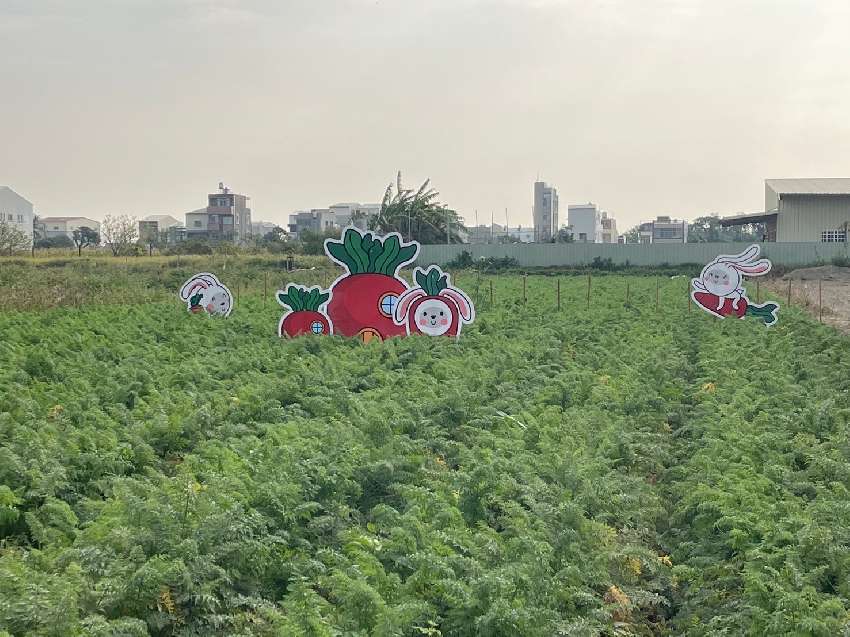 2026年將軍區農會