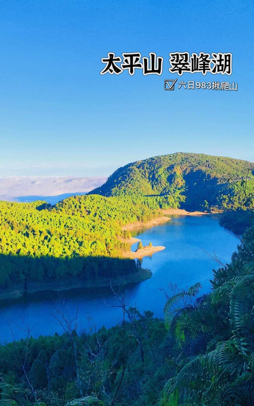 【太平山森林遊樂區_