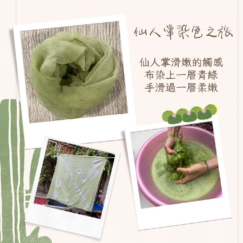 滑嫩的仙人掌染布體驗