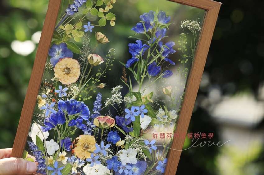 透明景觀花園_押花藝