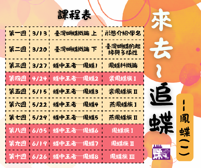【蝶會】2025年《