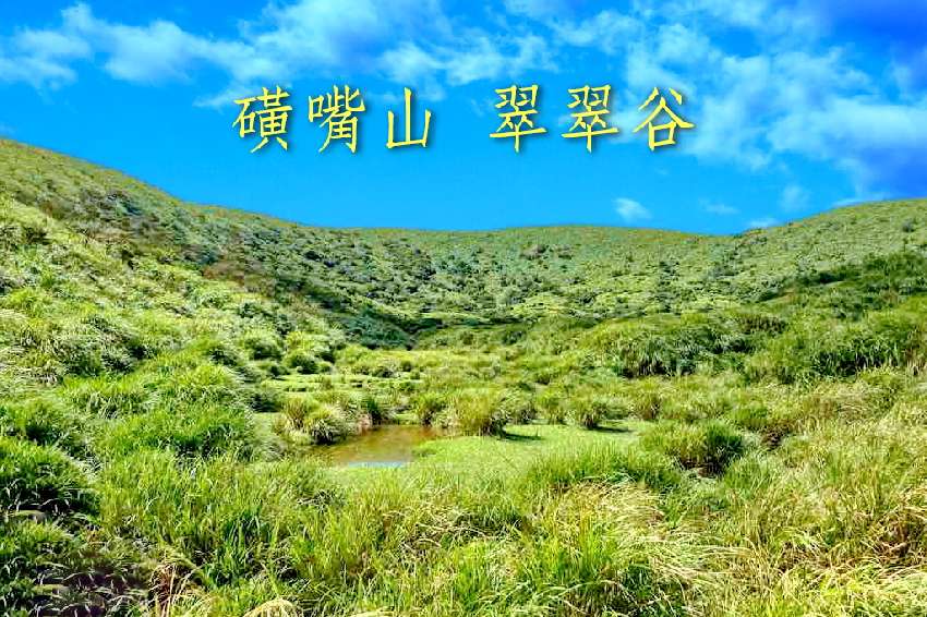 【台中市健康登山協會