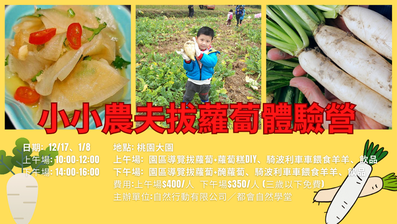 小小農夫拔蘿蔔體驗營