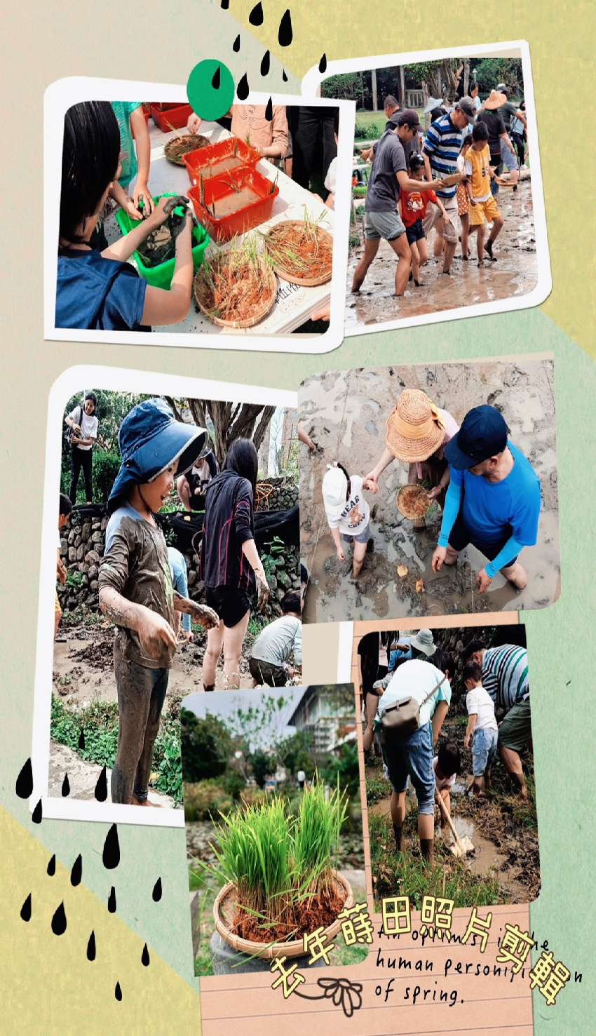 115年度禾田文化體