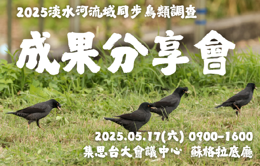2025淡水河流域同