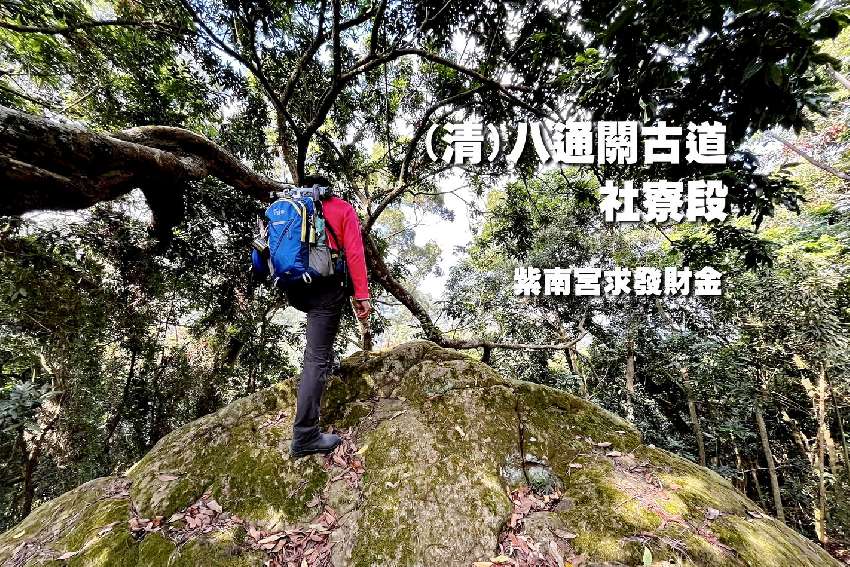 【台中市健康登山協會