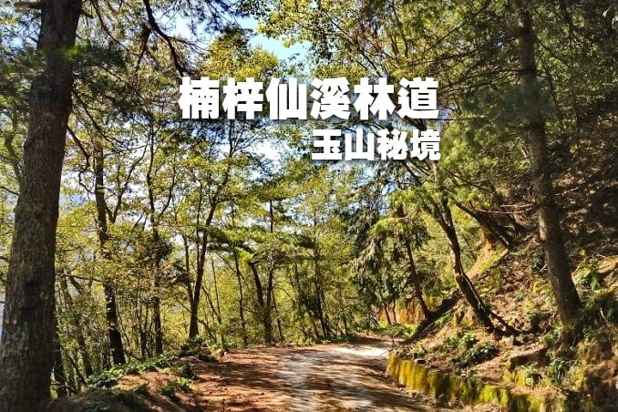 【台中市健康登山協會