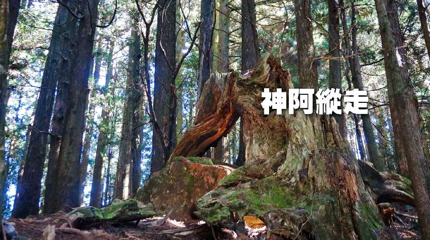 【台中市健康登山協會