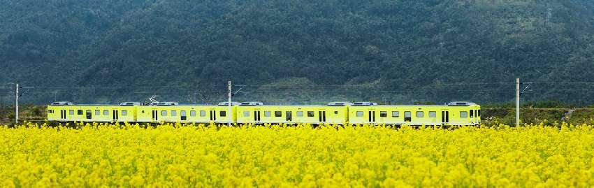 2025年4-6月 