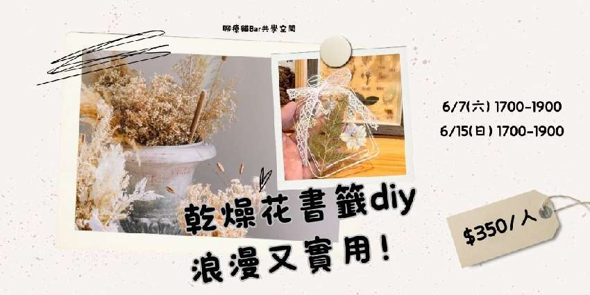 114年6月 乾燥花