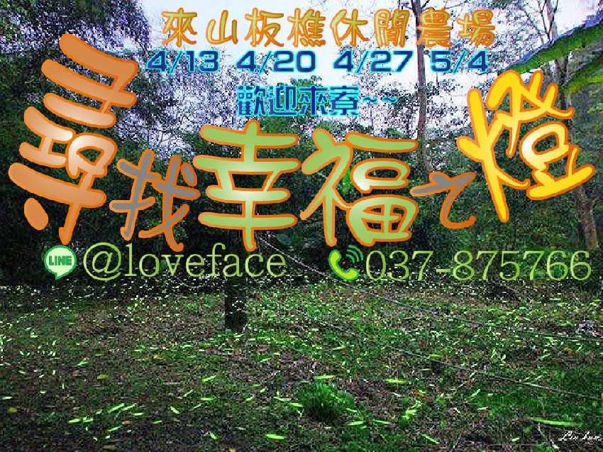 苗栗三義山板樵【尋找