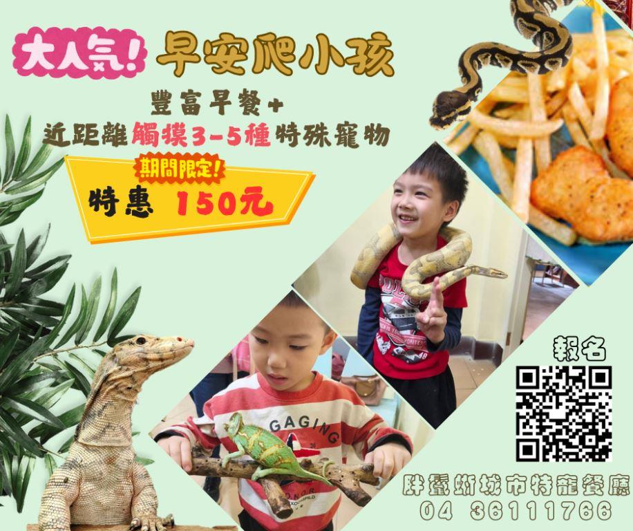 早安 來認識爬蟲動物