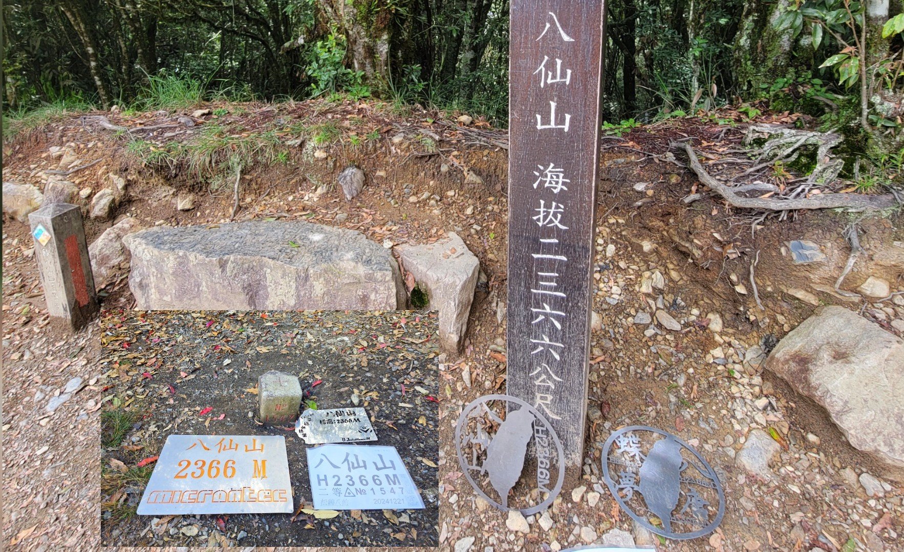 【新竹市健行登山協會