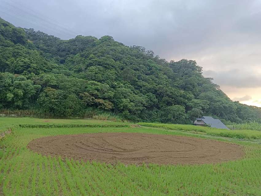 生火．素描．牧牛｜在
