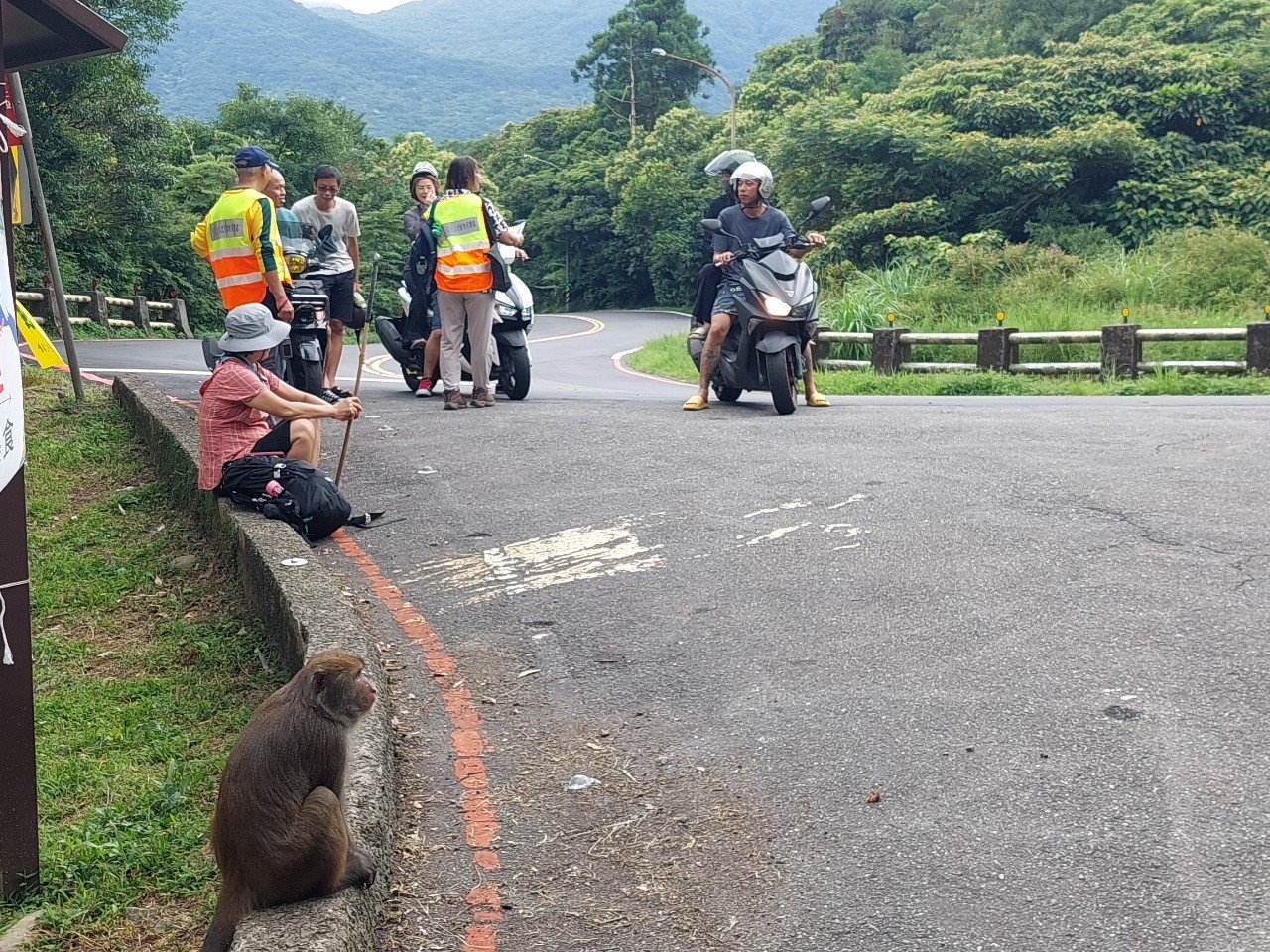 陽金公路馬槽地區臺灣