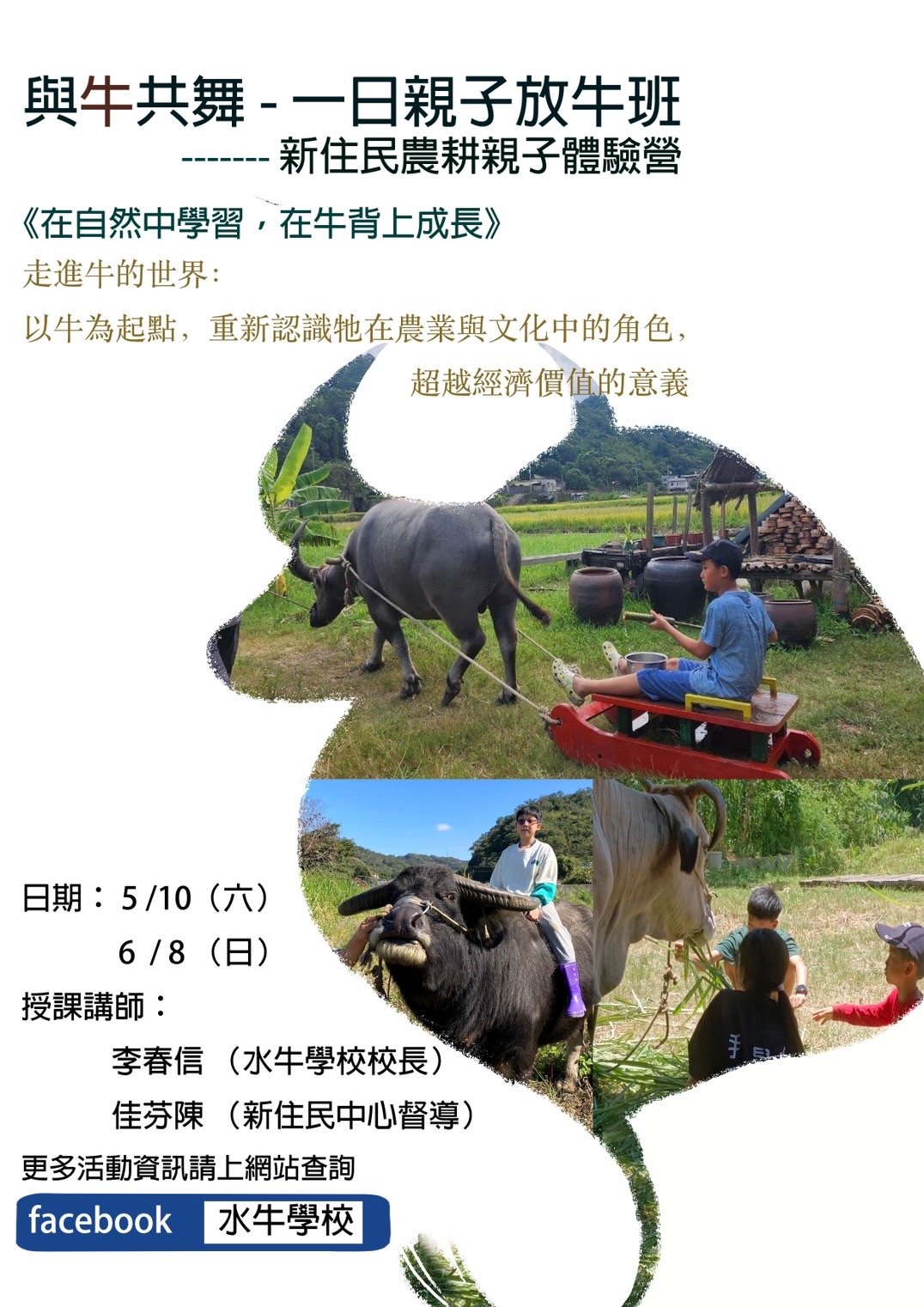 與牛共舞/親子一日放
