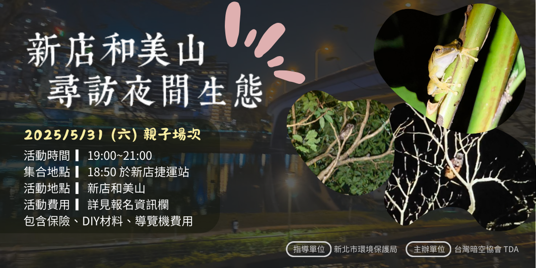 【新北的光】5/31