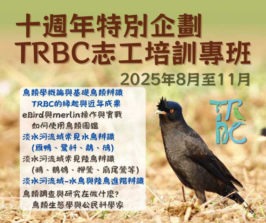 2025淡水河流域同