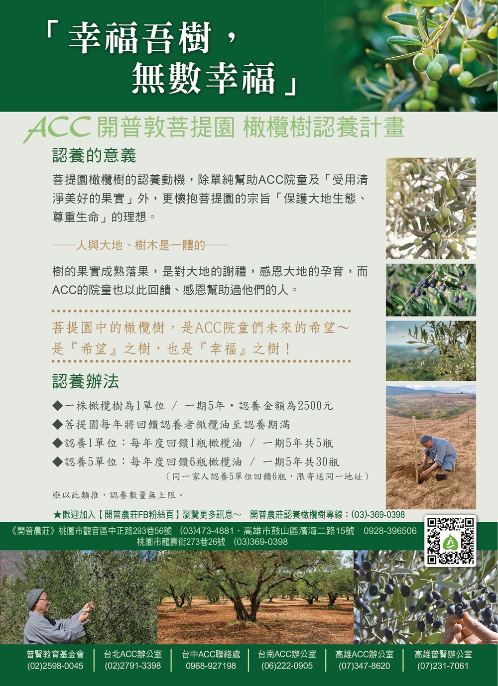 開普敦菩提園 橄欖樹