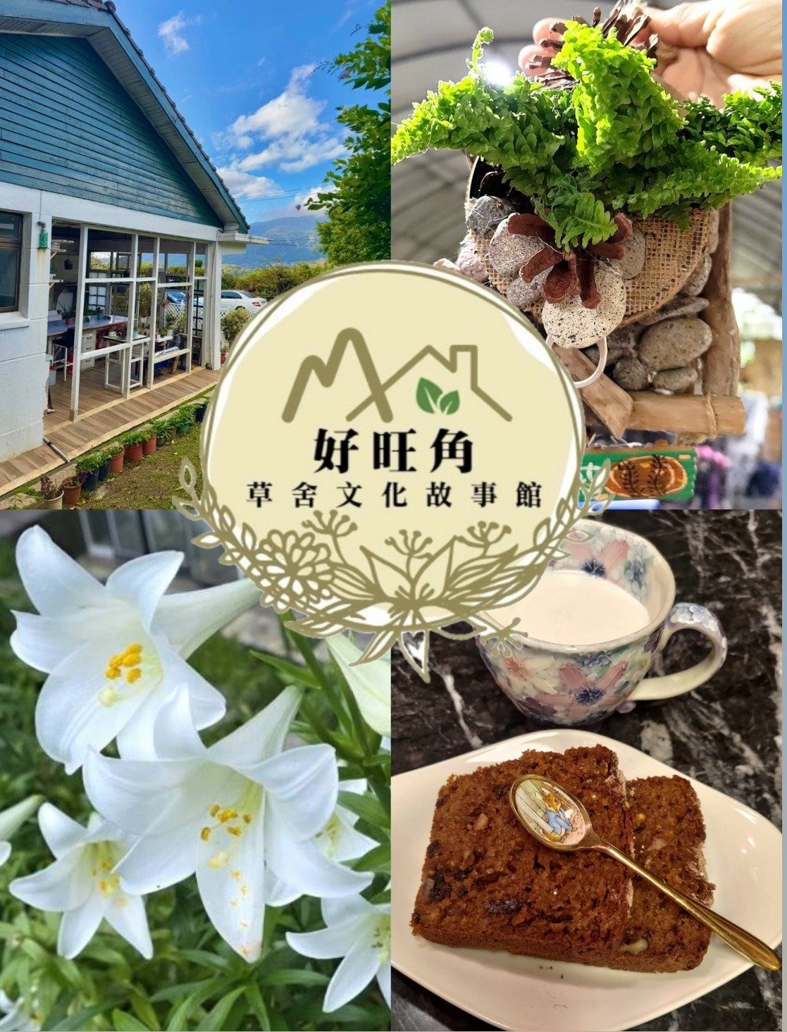 【草舍。好旺角】故事