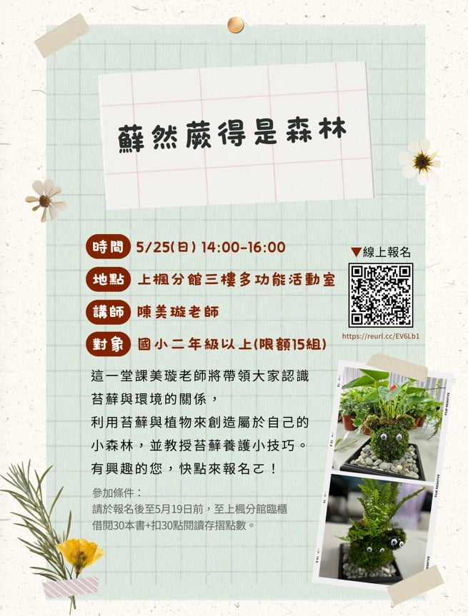 蘚然蕨得是森林