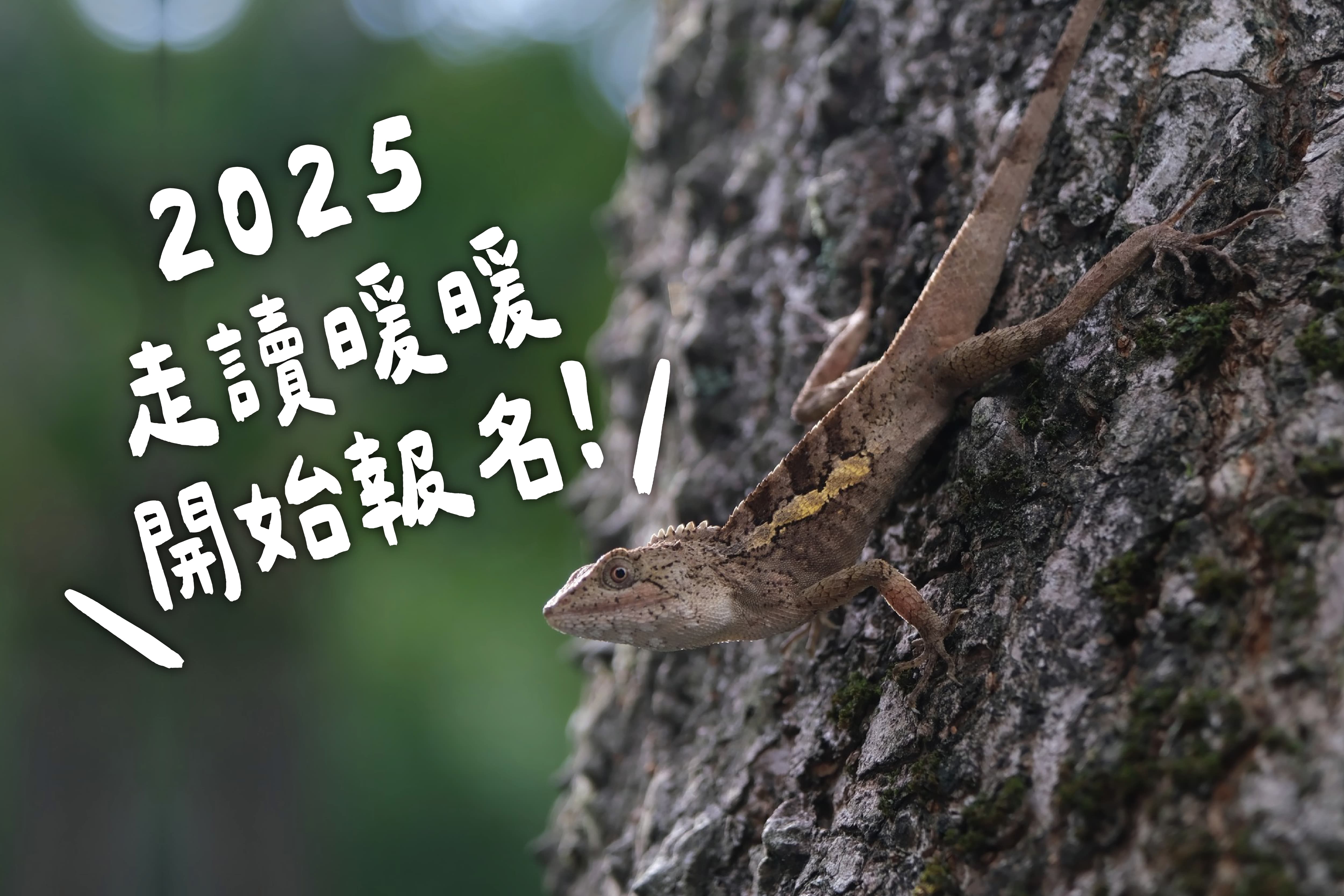 2025 走讀暖暖 