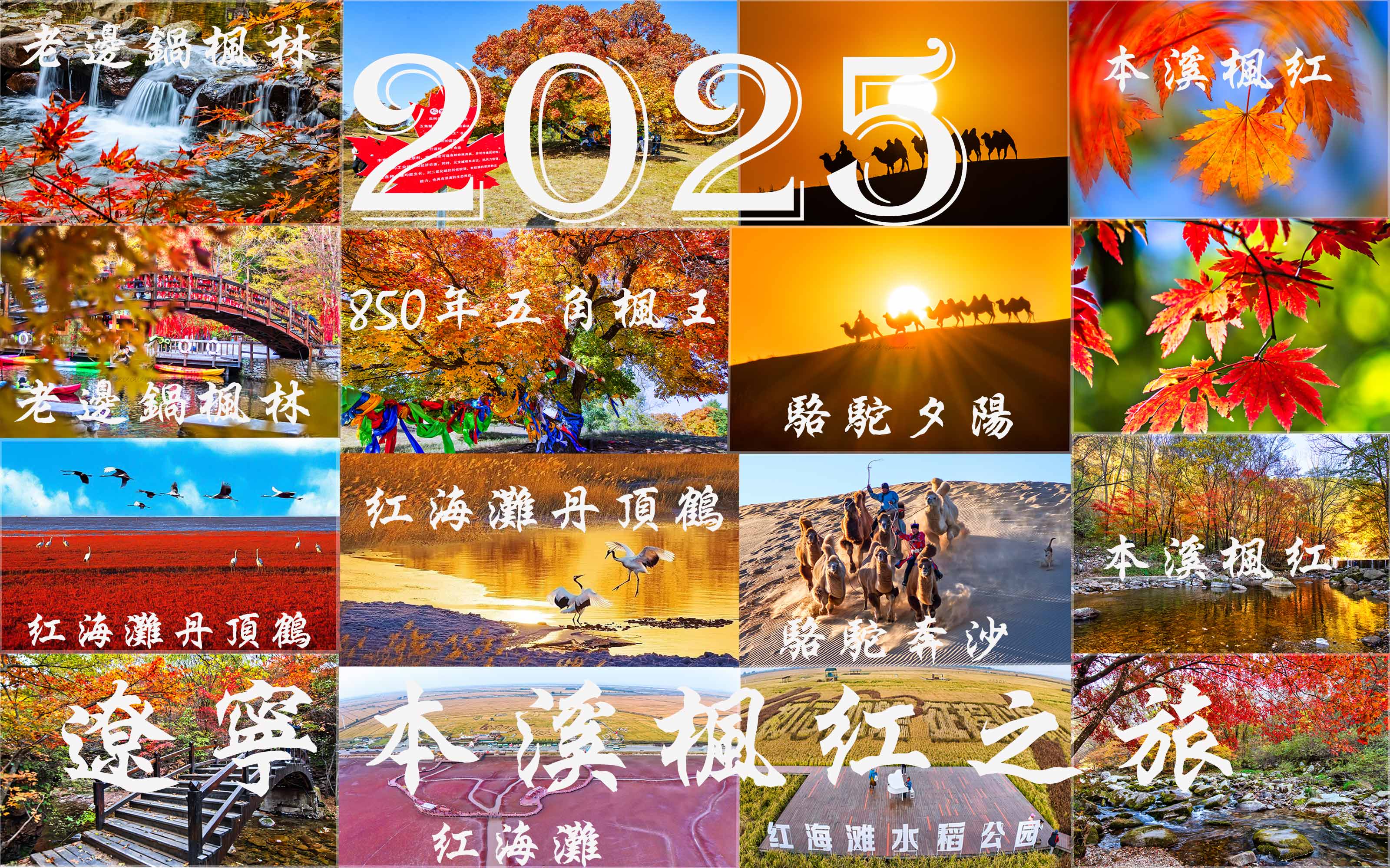 2025 遼寧本溪金