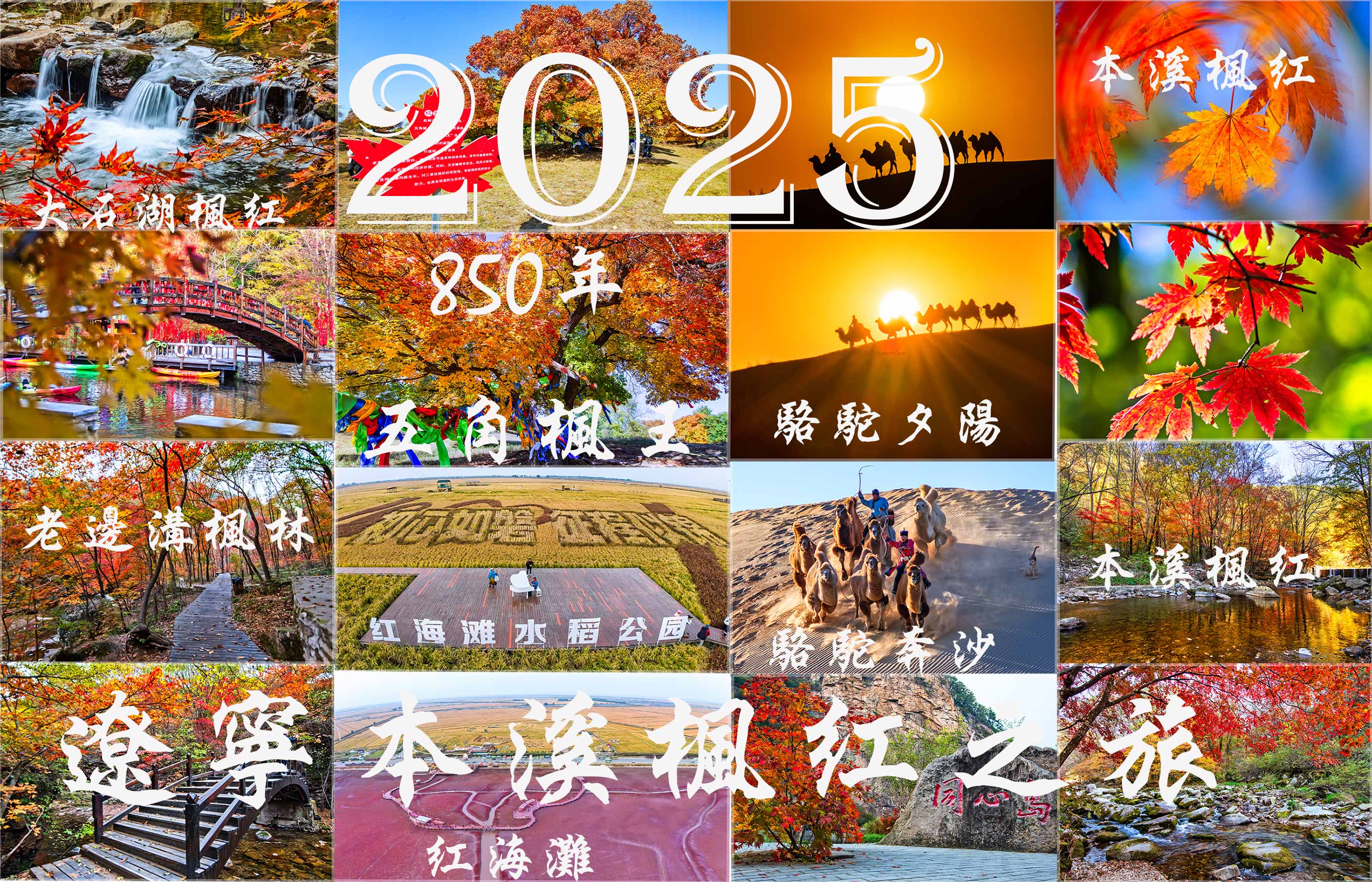 2025 東北遼寧本