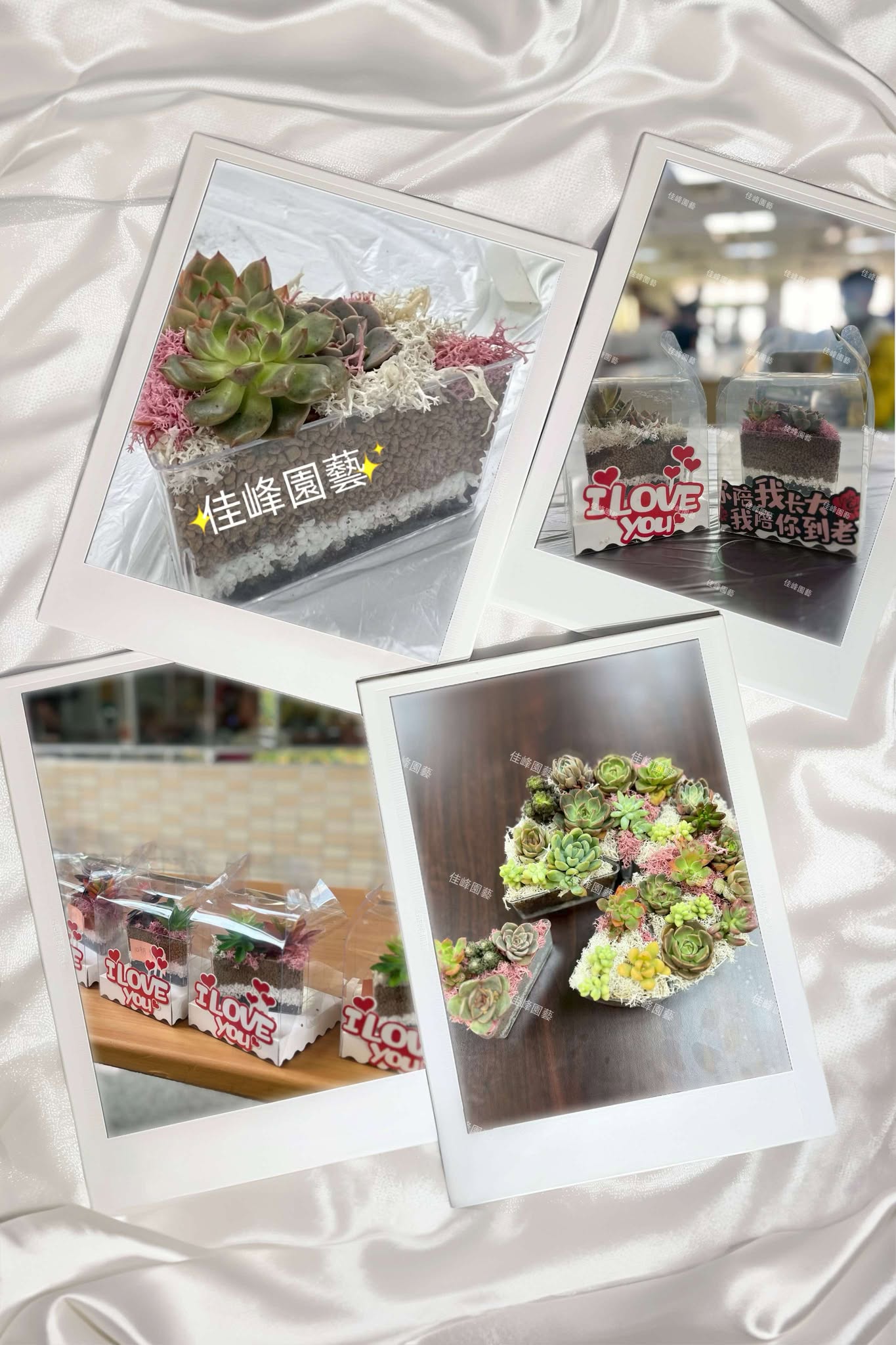多肉蛋糕體驗工作坊/