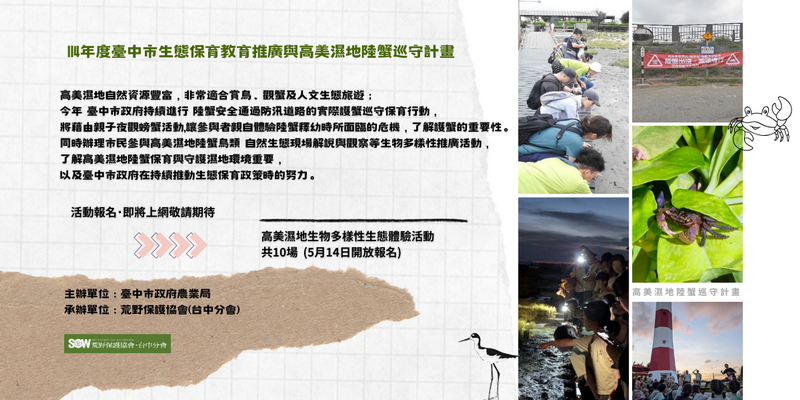 114年高美濕地生物