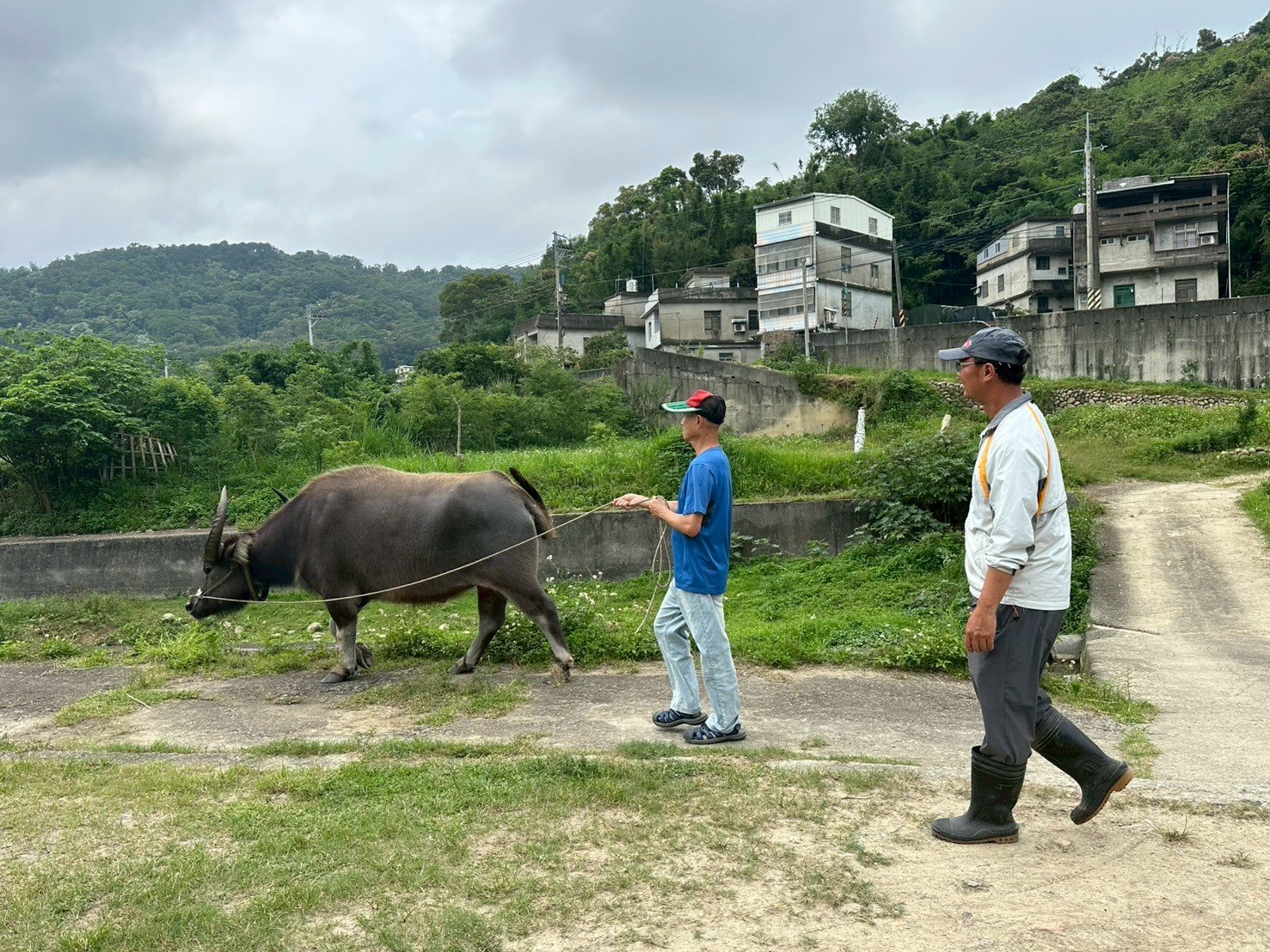 你／妳想成為全台第一