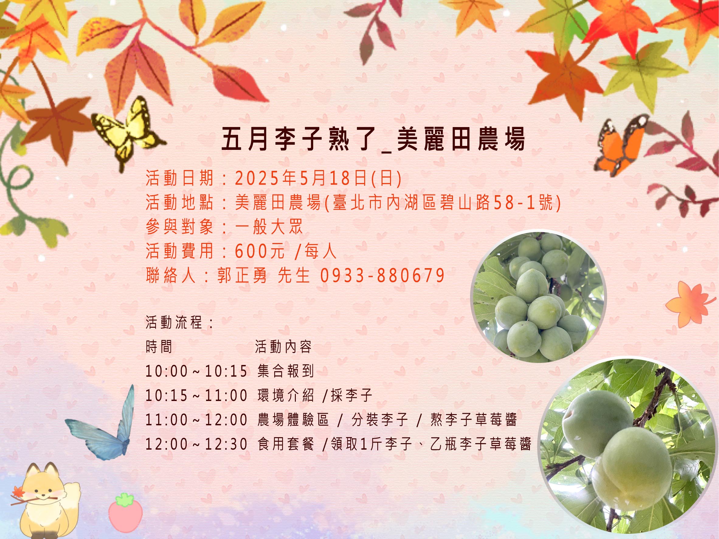 五月李子熟了_美麗田