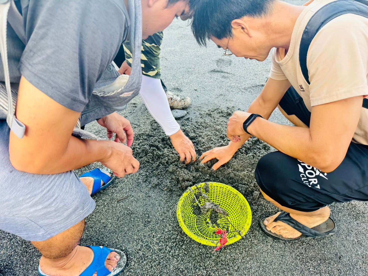 浪花蟹沙灘獵人探索營